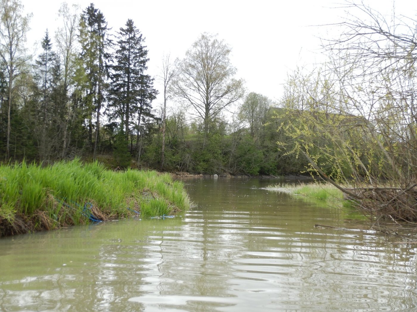 20210516, Ekspedisjon på Nitelva (123).jpg