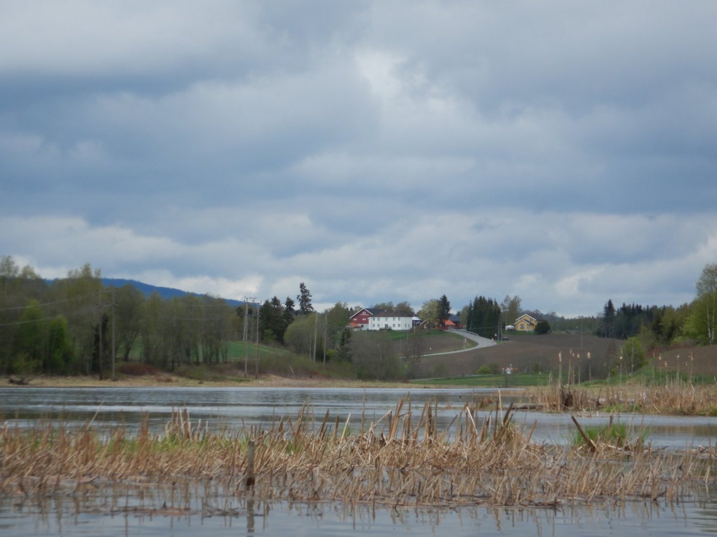 20210516, Ekspedisjon på Nitelva (113).jpg