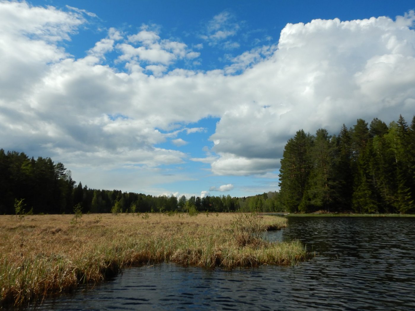 20210520, Nøklevann (2).JPG