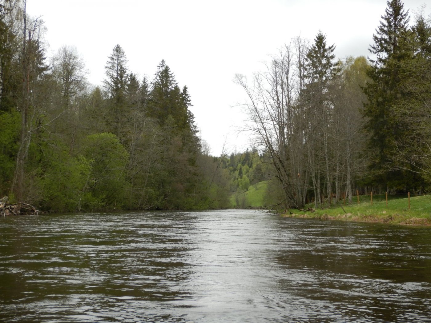 20210516, Ekspedisjon på Nitelva (54).jpg