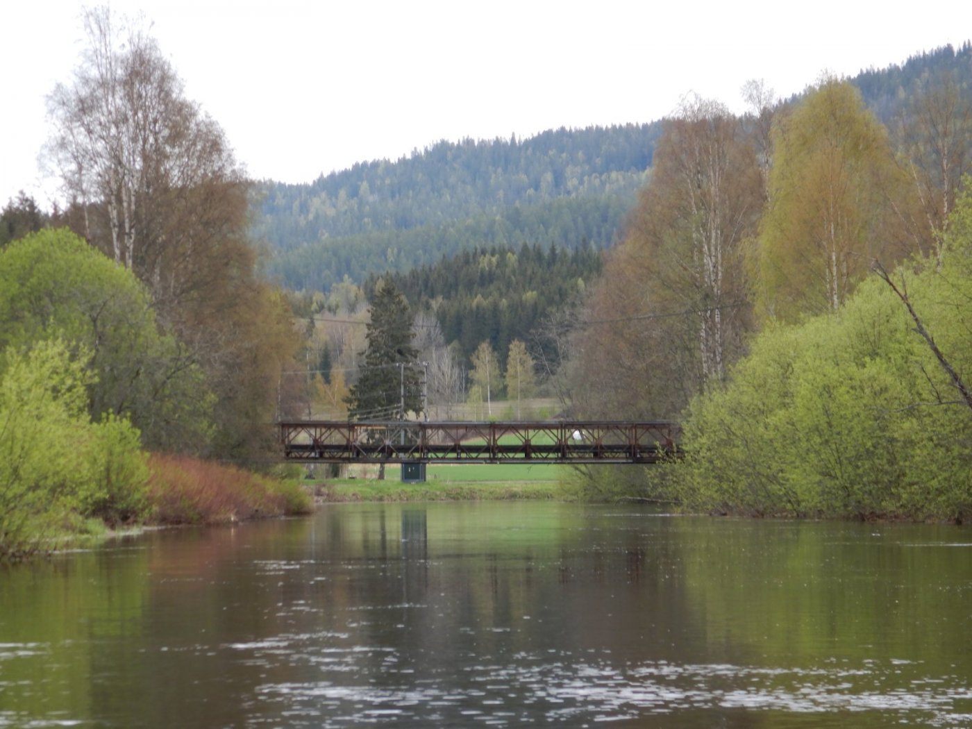 20210516, Ekspedisjon på Nitelva (34).jpg