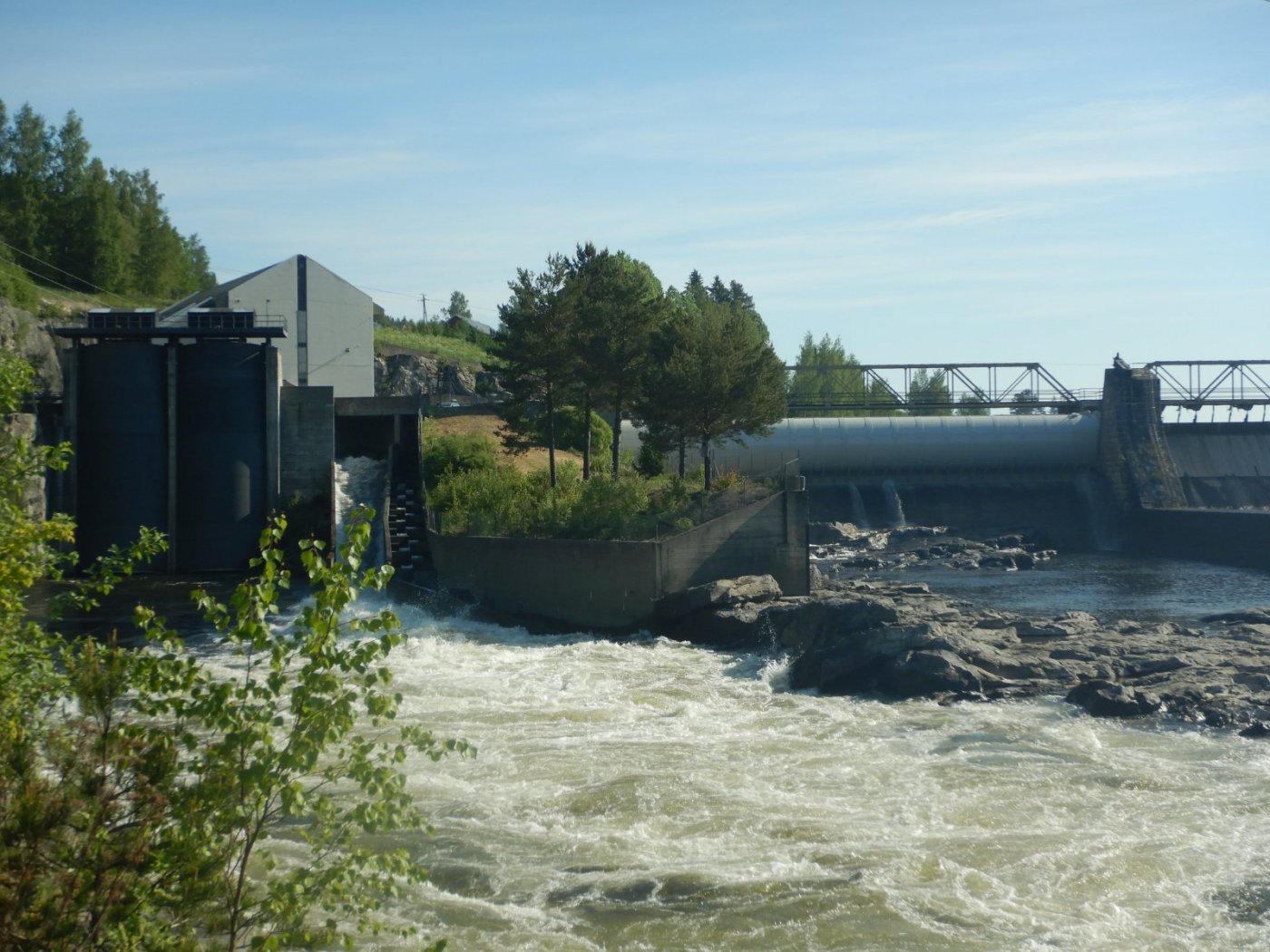 20210605, Glomma-tur (6).jpg