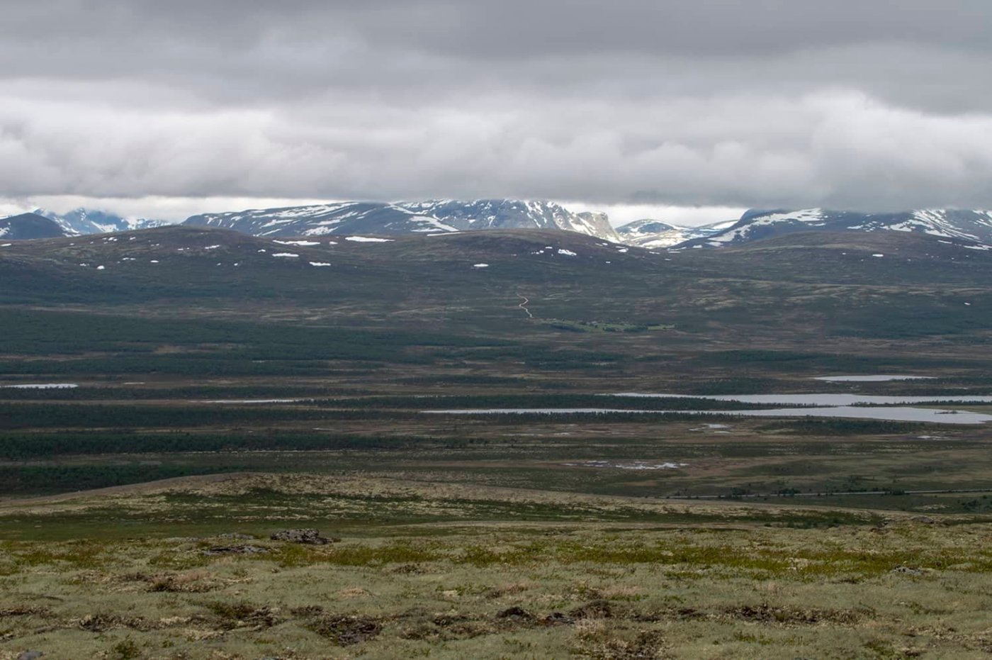 dovre2-hoyere-fjell.thumb.jpg.3878b691b57cd42ec3945f74c25aa965.jpg