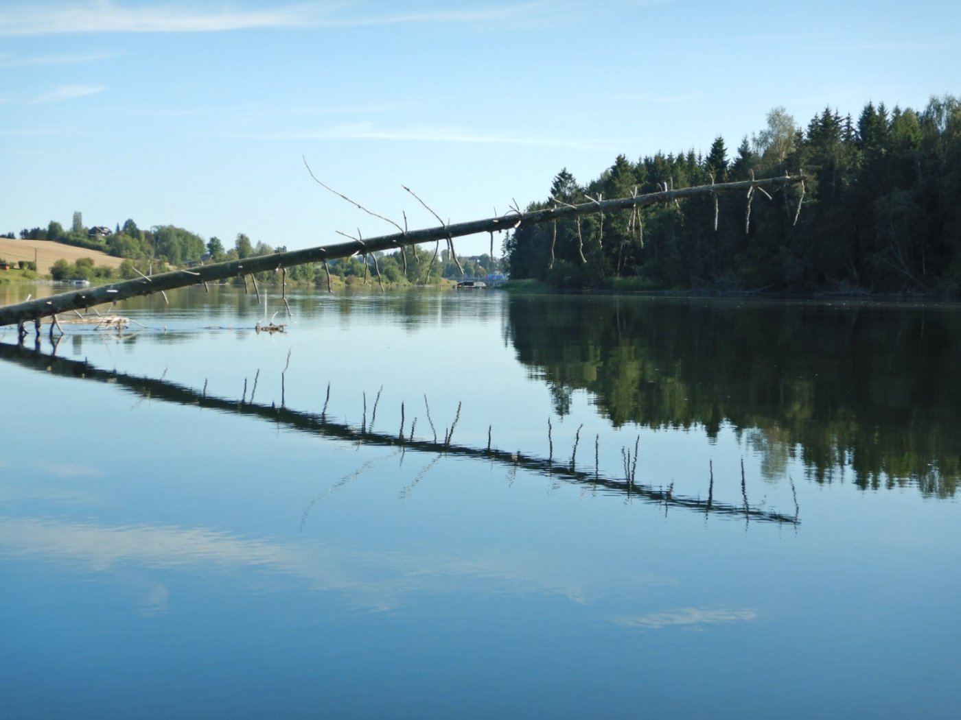 20210830, Ekspedisjon på Vorma (131).jpg