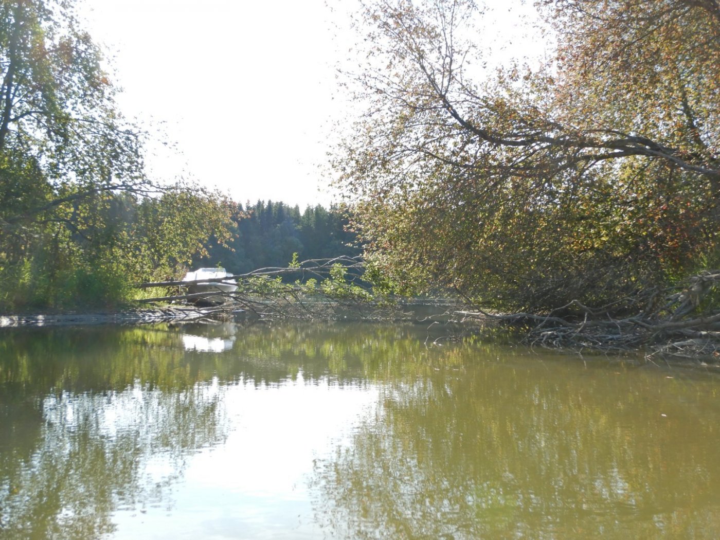 20210830, Ekspedisjon på Vorma (139).jpg