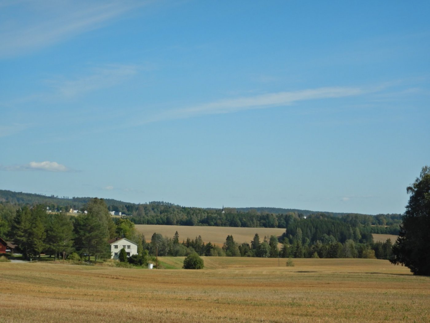 20210830, Ekspedisjon på Vorma (70).jpg