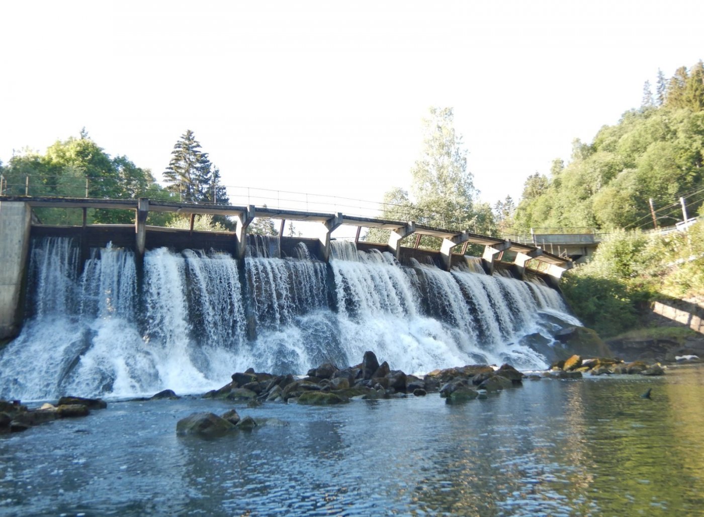 20210830, Ekspedisjon på Vorma (26).jpg