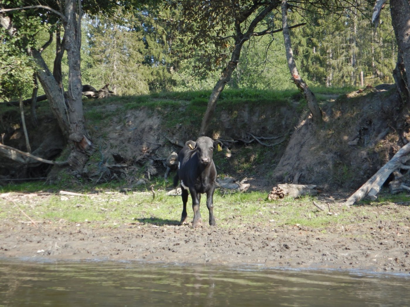 20210830, Ekspedisjon på Vorma (116).jpg