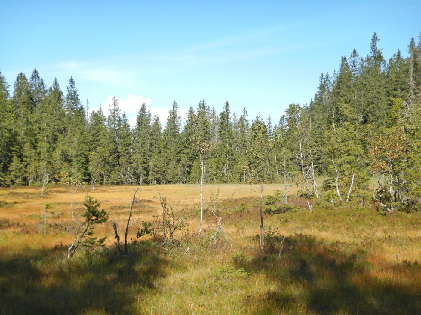 20210905, Tredamers-tur i Maridalsalpene (72).JPG