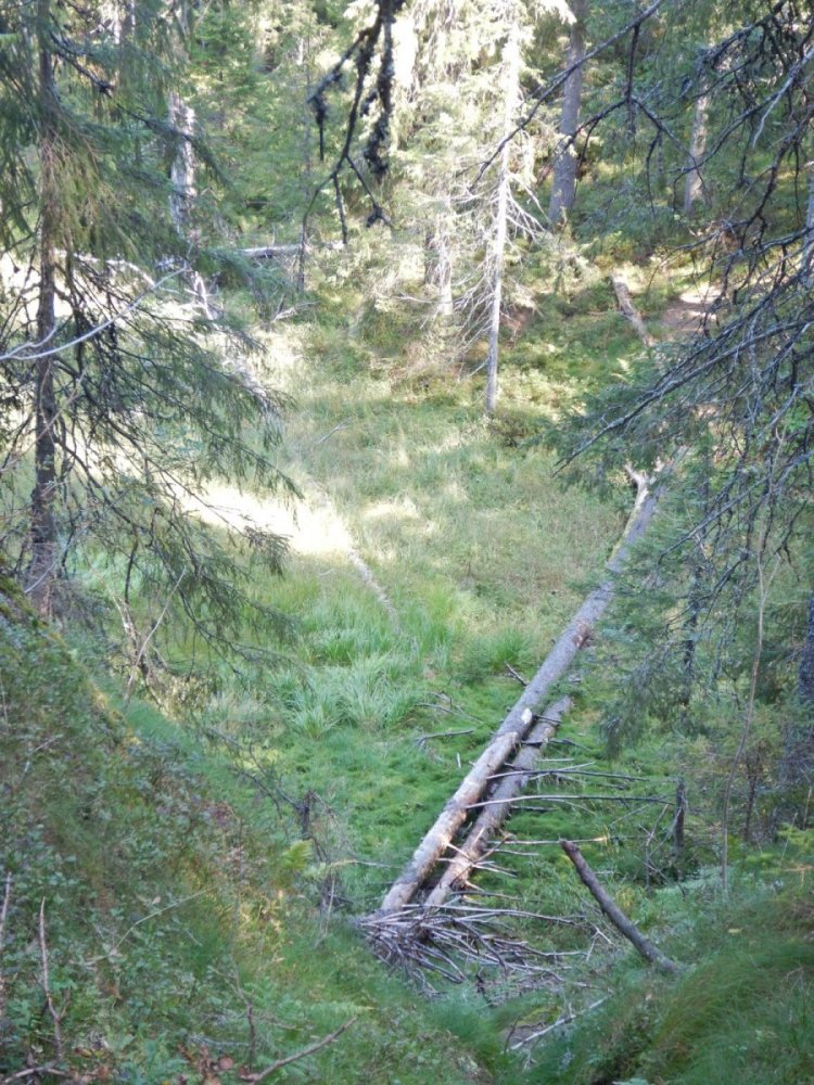 20210905, Tredamers-tur i Maridalsalpene (83).JPG