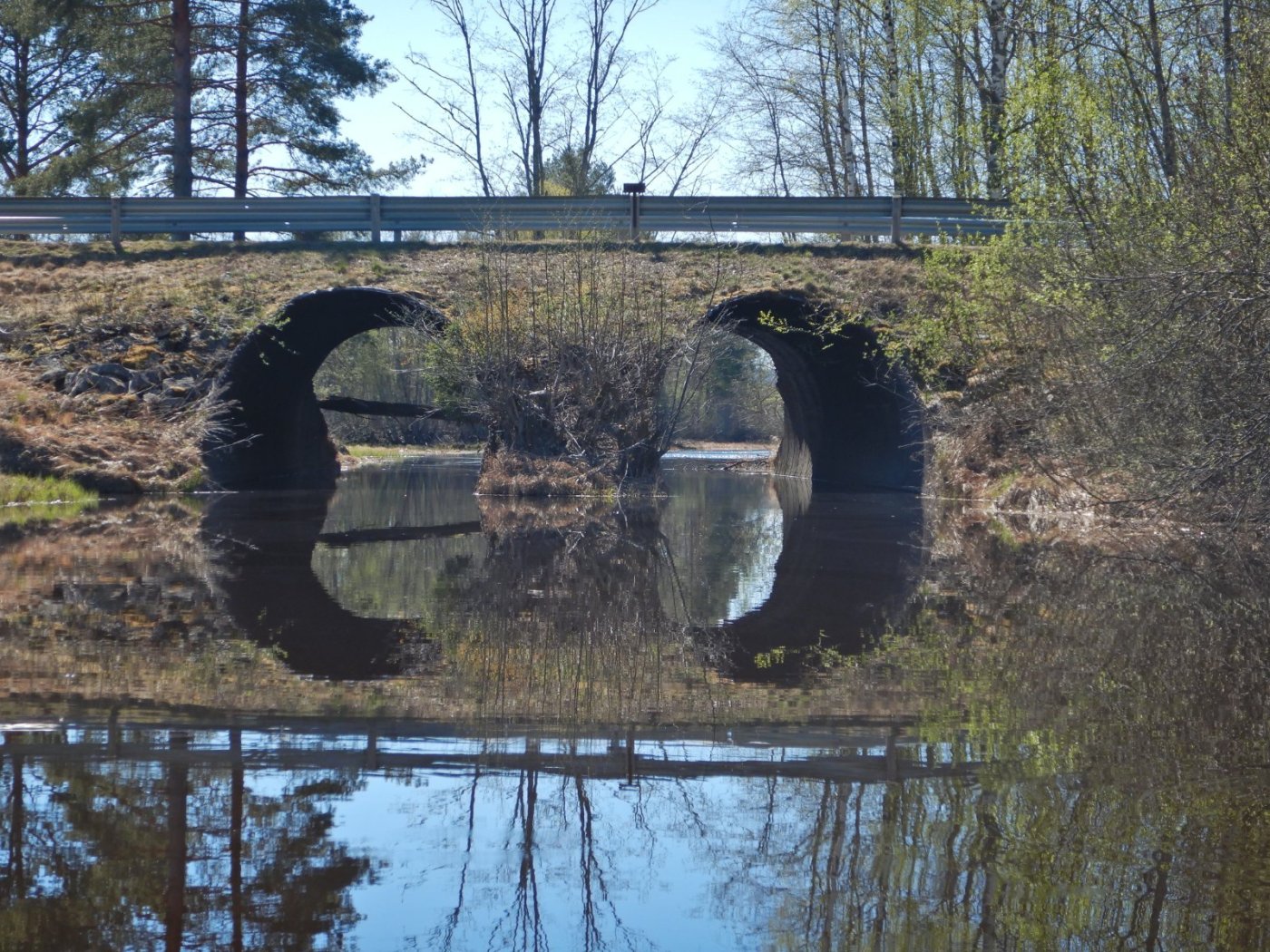 20220515, Padletur fra Skarnes til Årnes, med någo attått (12).JPG