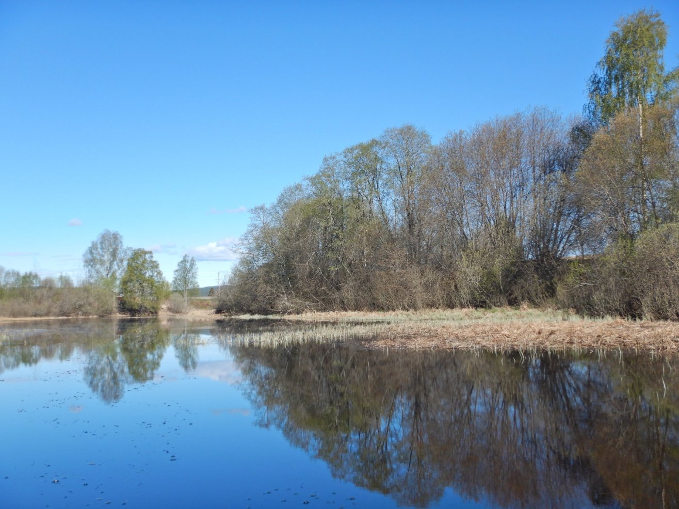 20220515, Padletur fra Skarnes til Årnes, med någo attått (2).JPG