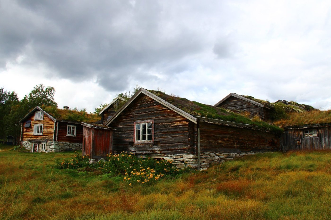 Fjølburøste 2 copy.jpg