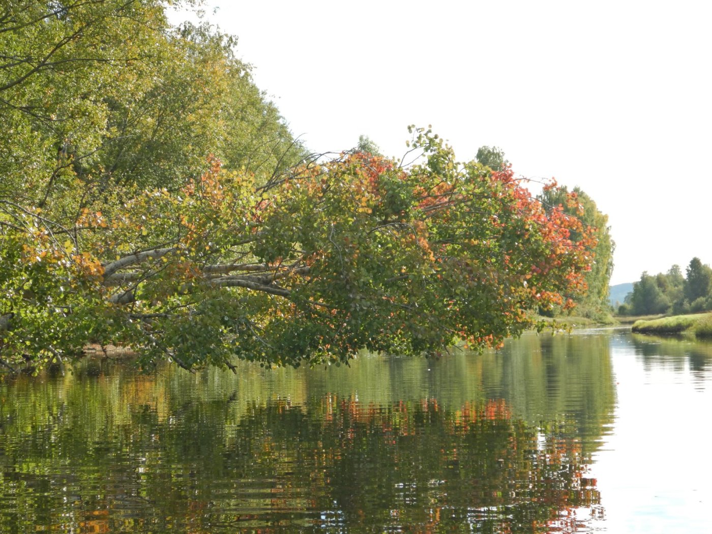 20220921, Padletur fra Sand til Skarnes (40).JPG