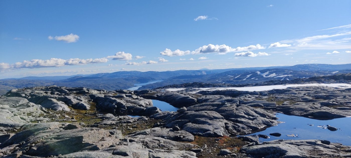 IMG_20220903_154205 (1).jpg