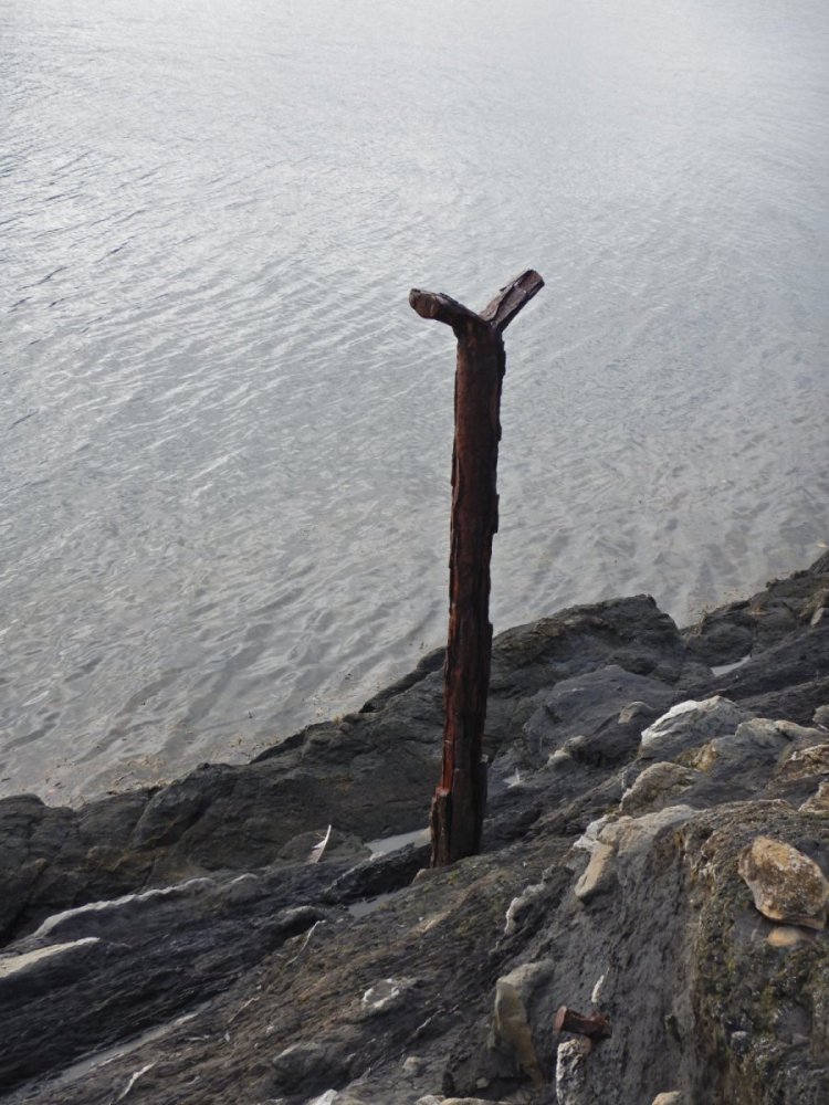 20220924, Nesoddtangen-Drøbak (7).JPG