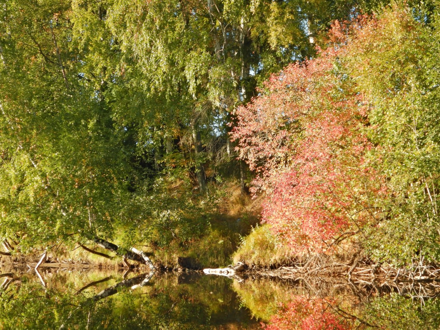 20220921, Padletur fra Sand til Skarnes (62).JPG