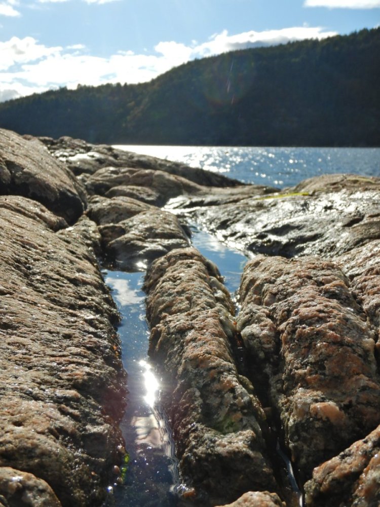 20220924, Nesoddtangen-Drøbak (47).JPG