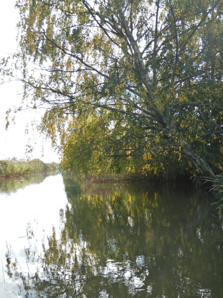 20221002, Nylede-Fredrikstad (129).JPG