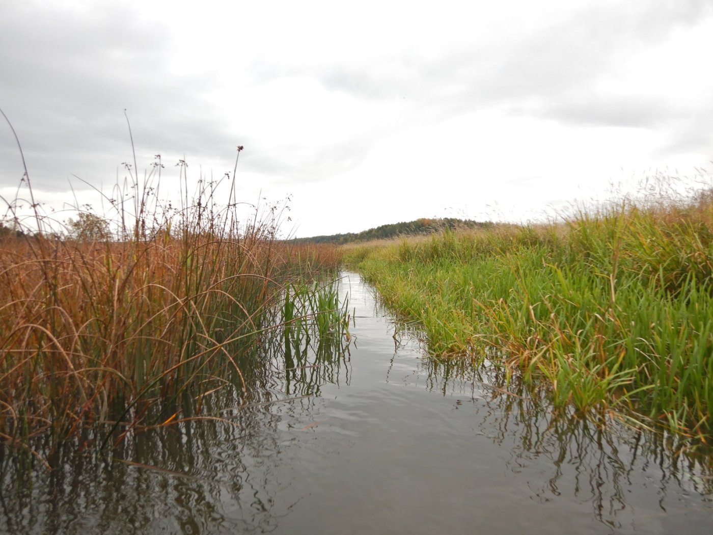 20221002, Nylede-Fredrikstad (40).JPG