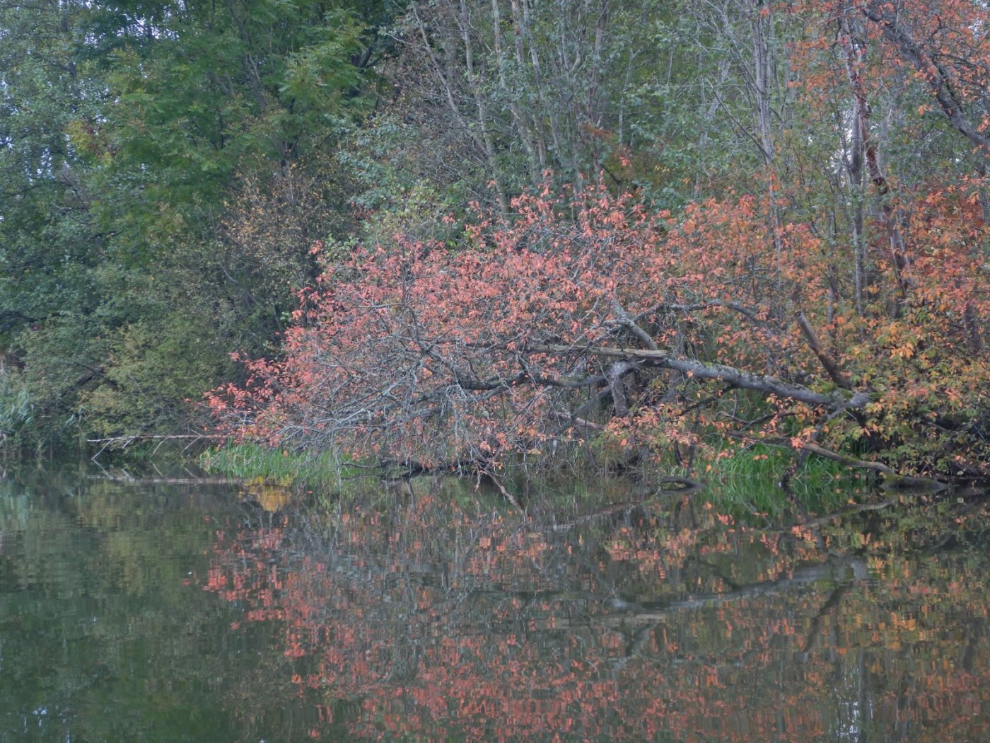 20221002, Nylede-Fredrikstad (22).JPG
