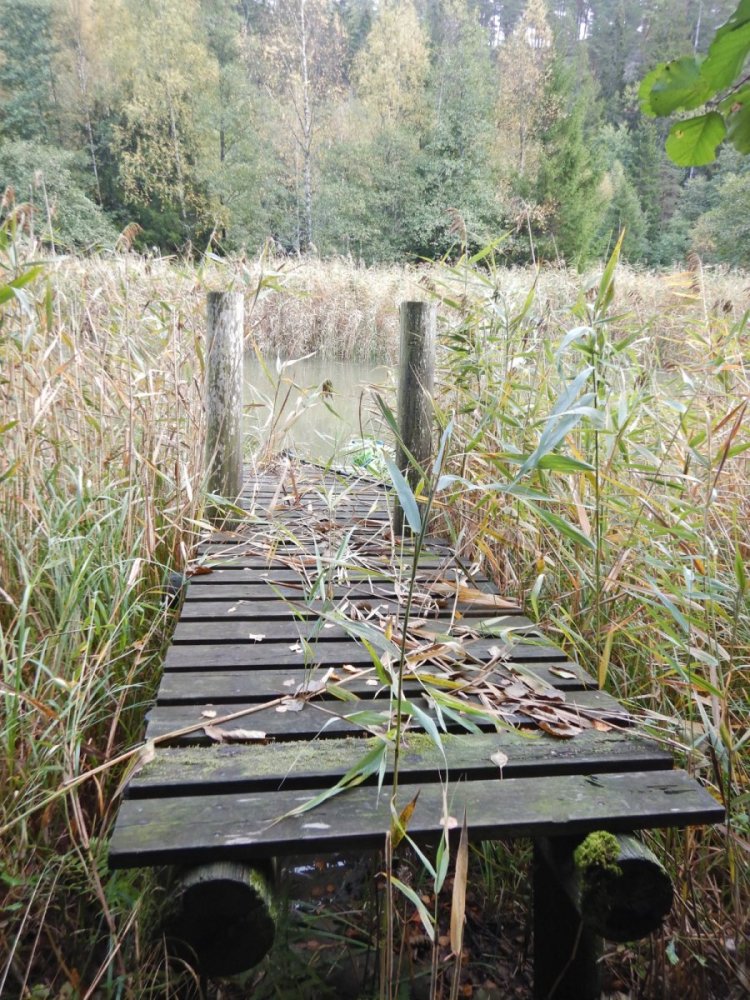 20221002, Nylede-Fredrikstad (93).JPG