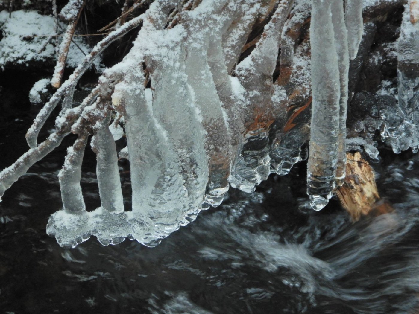 20221121, Lillo-tur. Grytedalen-Barlindåsen (105).jpg