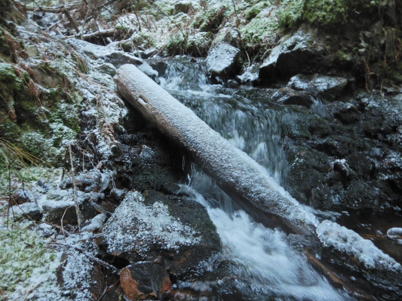 20221121, Lillo-tur. Grytedalen-Barlindåsen (39).jpg