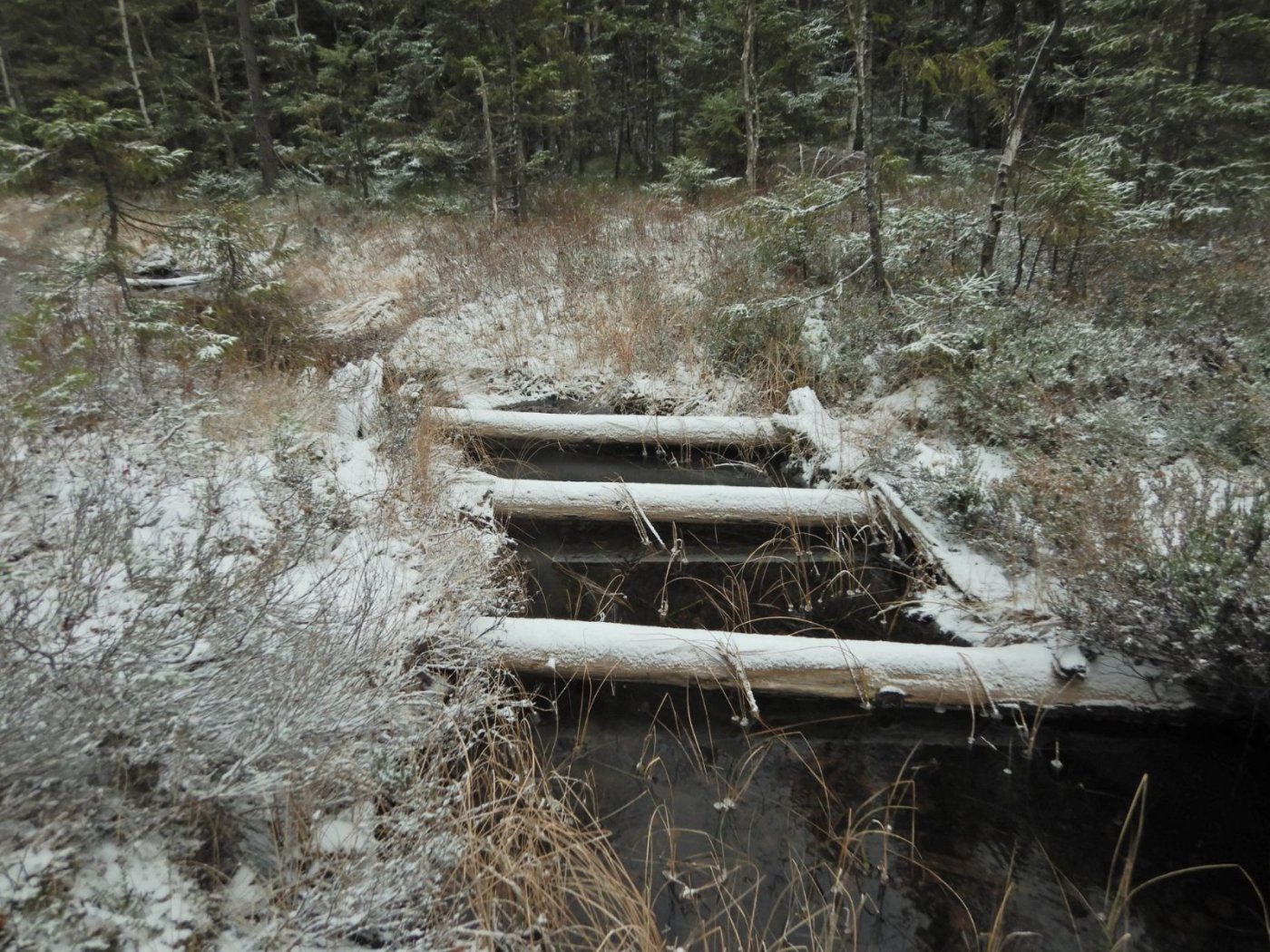 20221121, Lillo-tur. Grytedalen-Barlindåsen (109).jpg