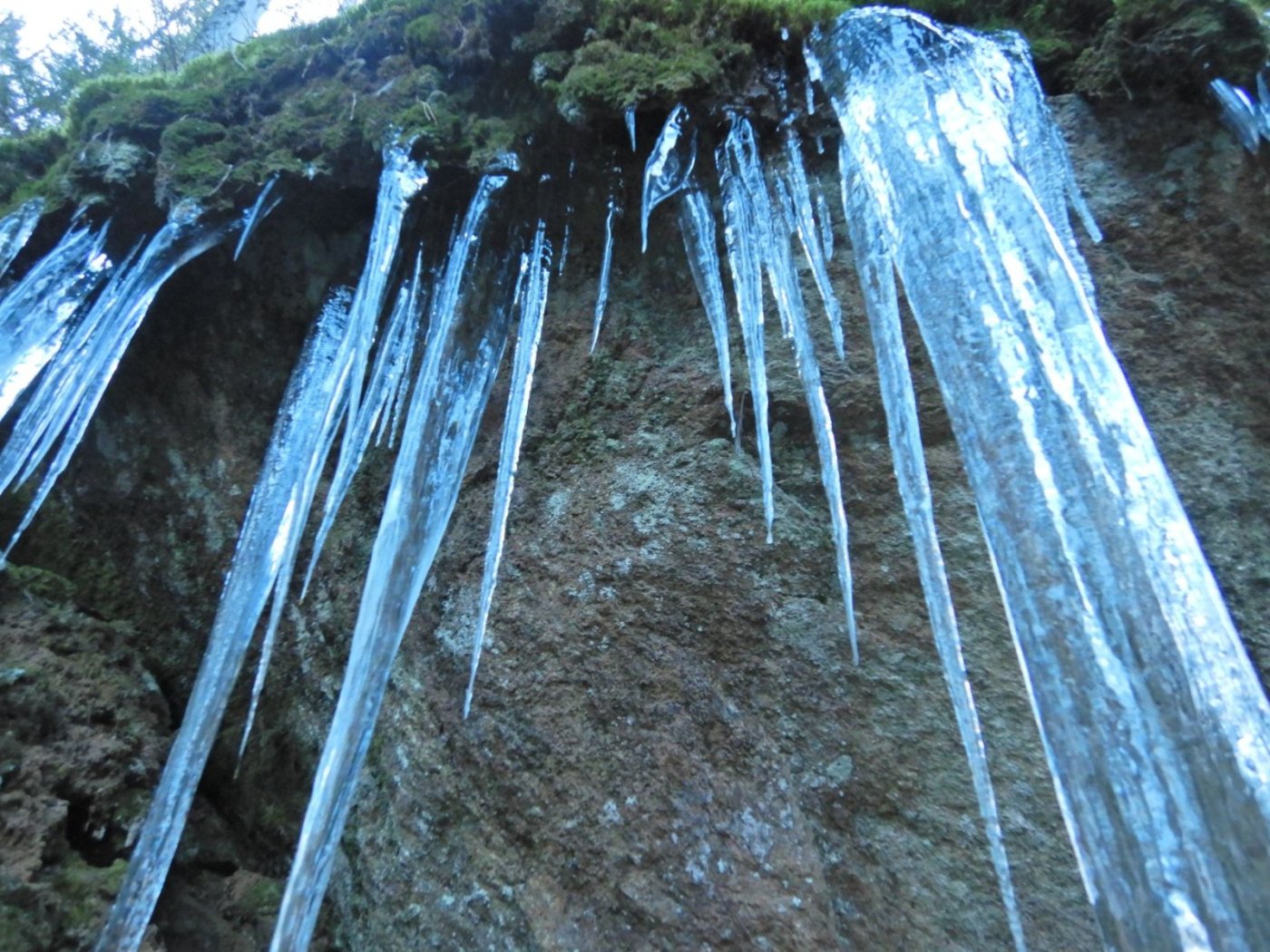 20221121, Lillo-tur. Grytedalen-Barlindåsen (12).jpg