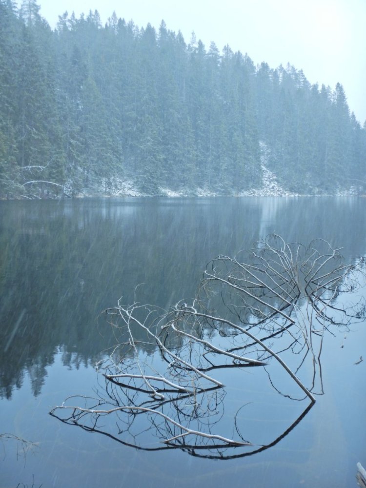 20221121, Lillo-tur. Grytedalen-Barlindåsen (65).jpg