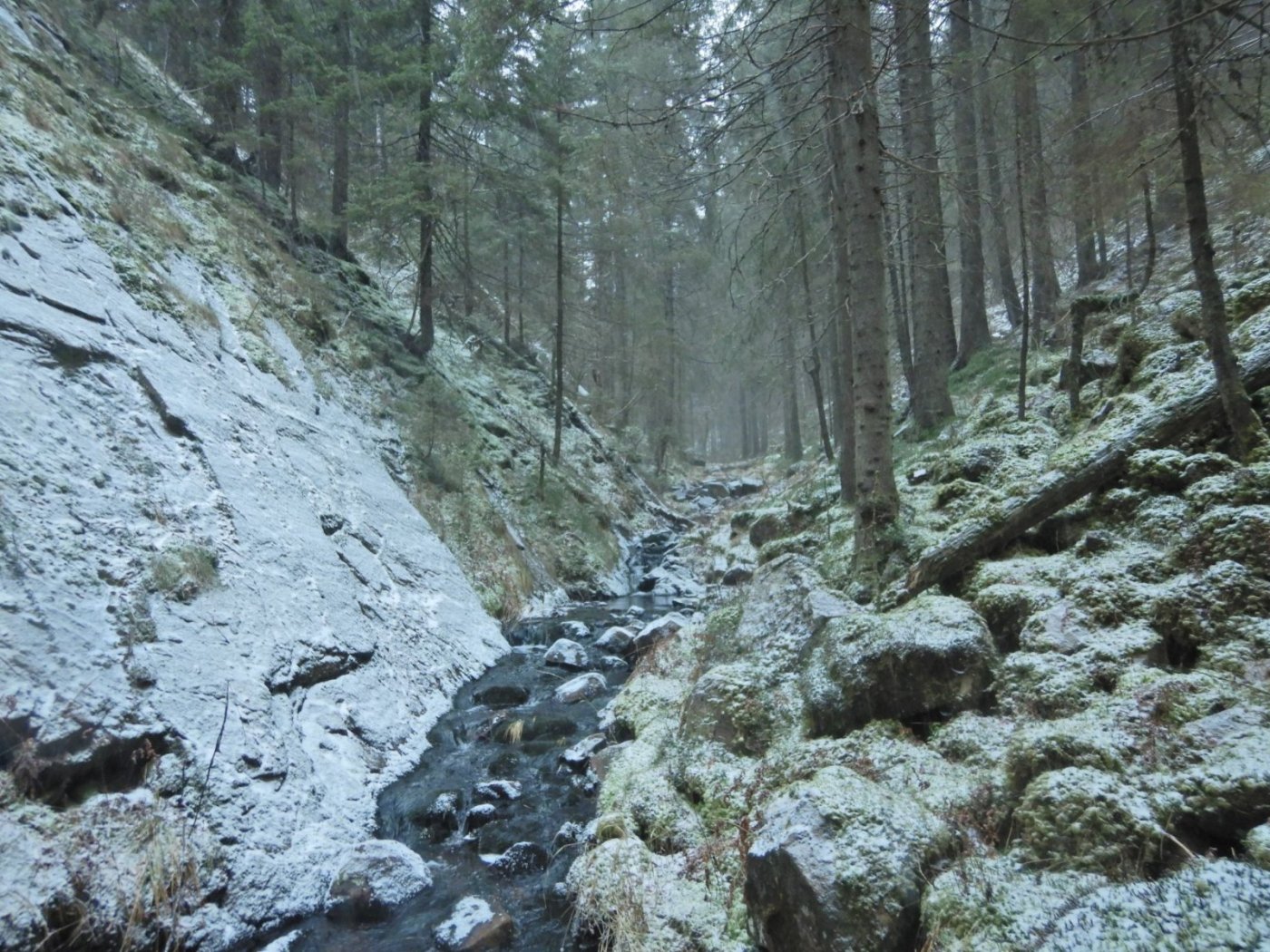 20221121, Lillo-tur. Grytedalen-Barlindåsen (43).jpg