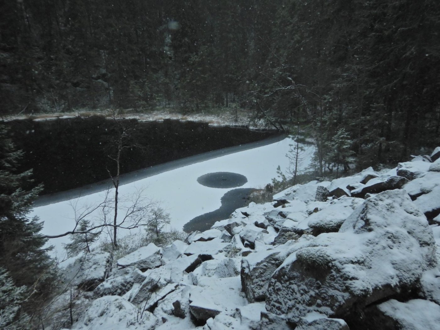 20221121, Lillo-tur. Grytedalen-Barlindåsen (86).jpg