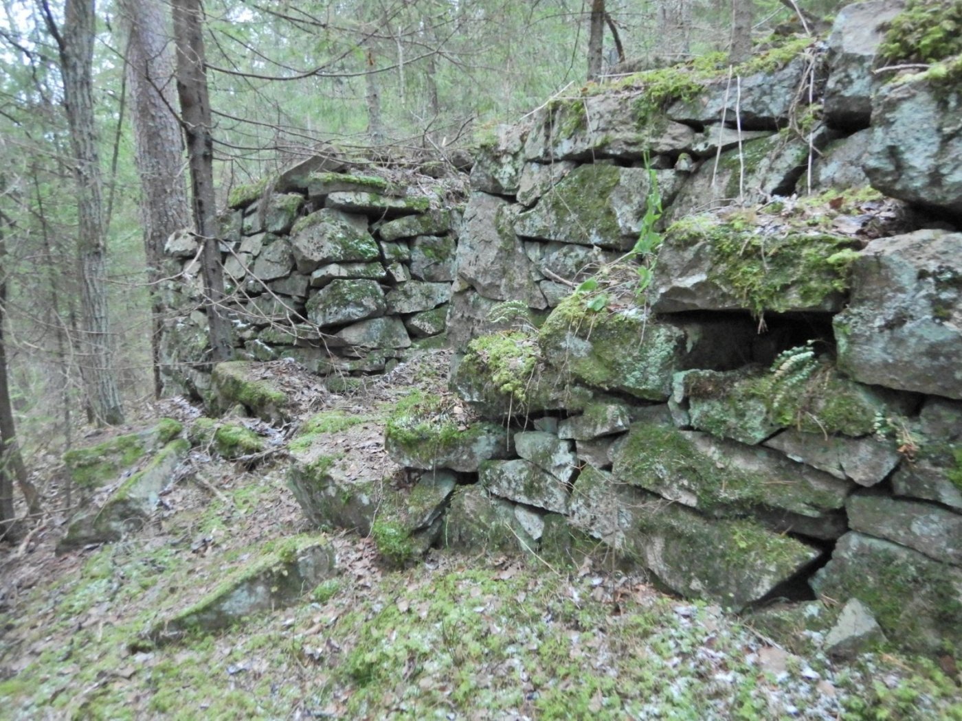 20221121, Lillo-tur. Grytedalen-Barlindåsen (3).jpg