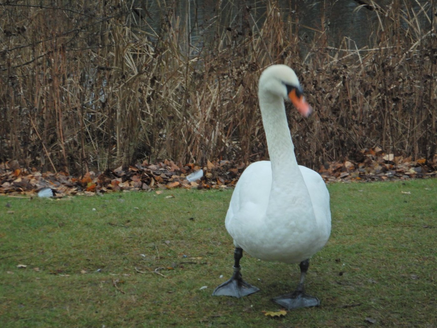 20221127, Firemils gjennom Oslo og Bærum (38).JPG