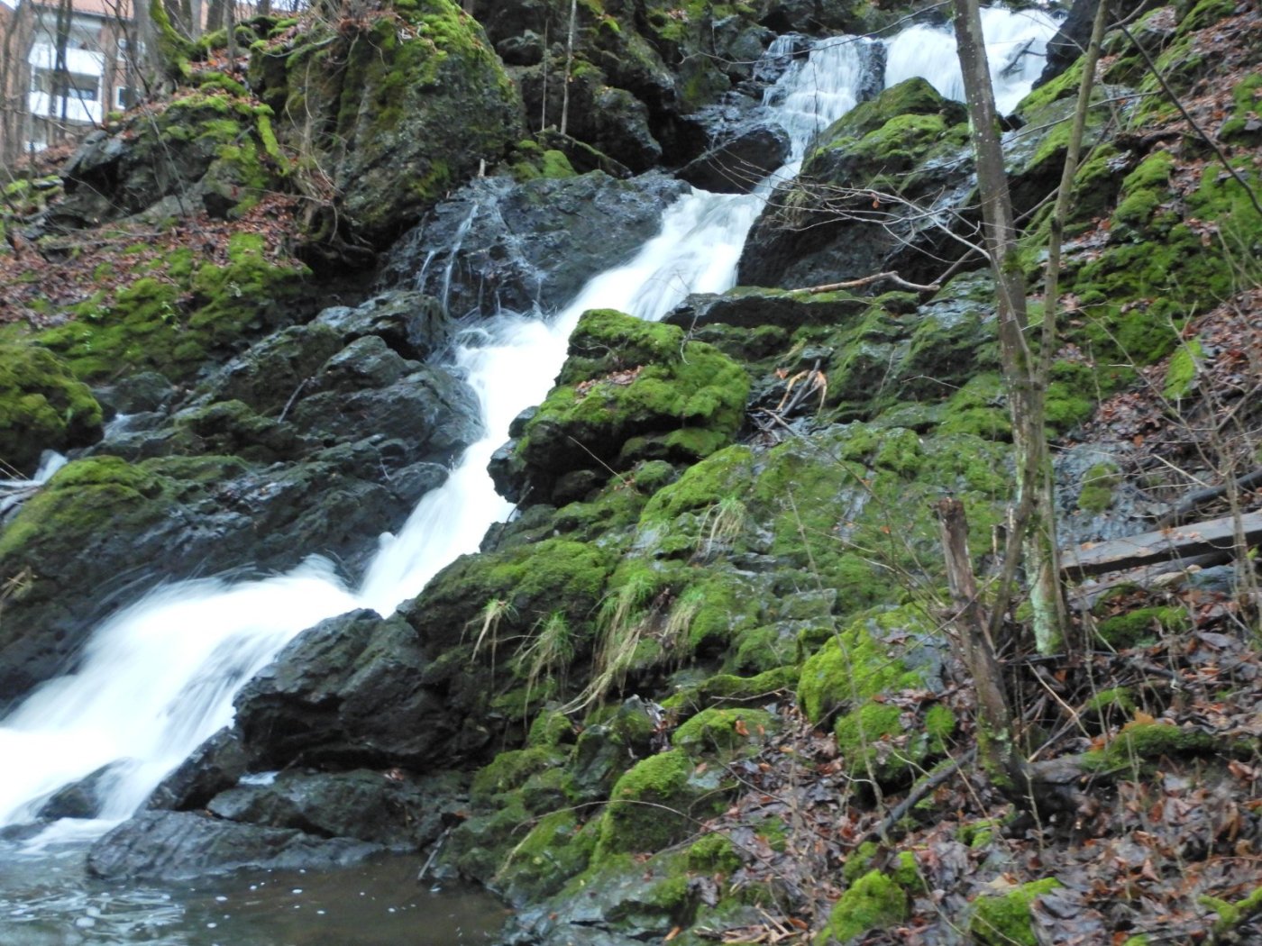 20221127, Firemils gjennom Oslo og Bærum (35).JPG