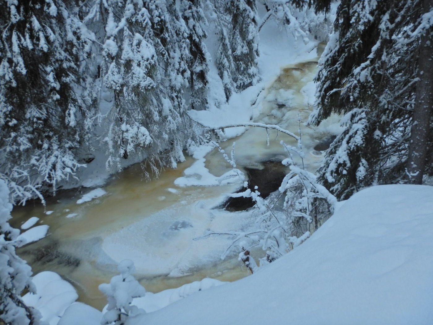 20230123, Trugerunde fra Skansebakken (16).JPG