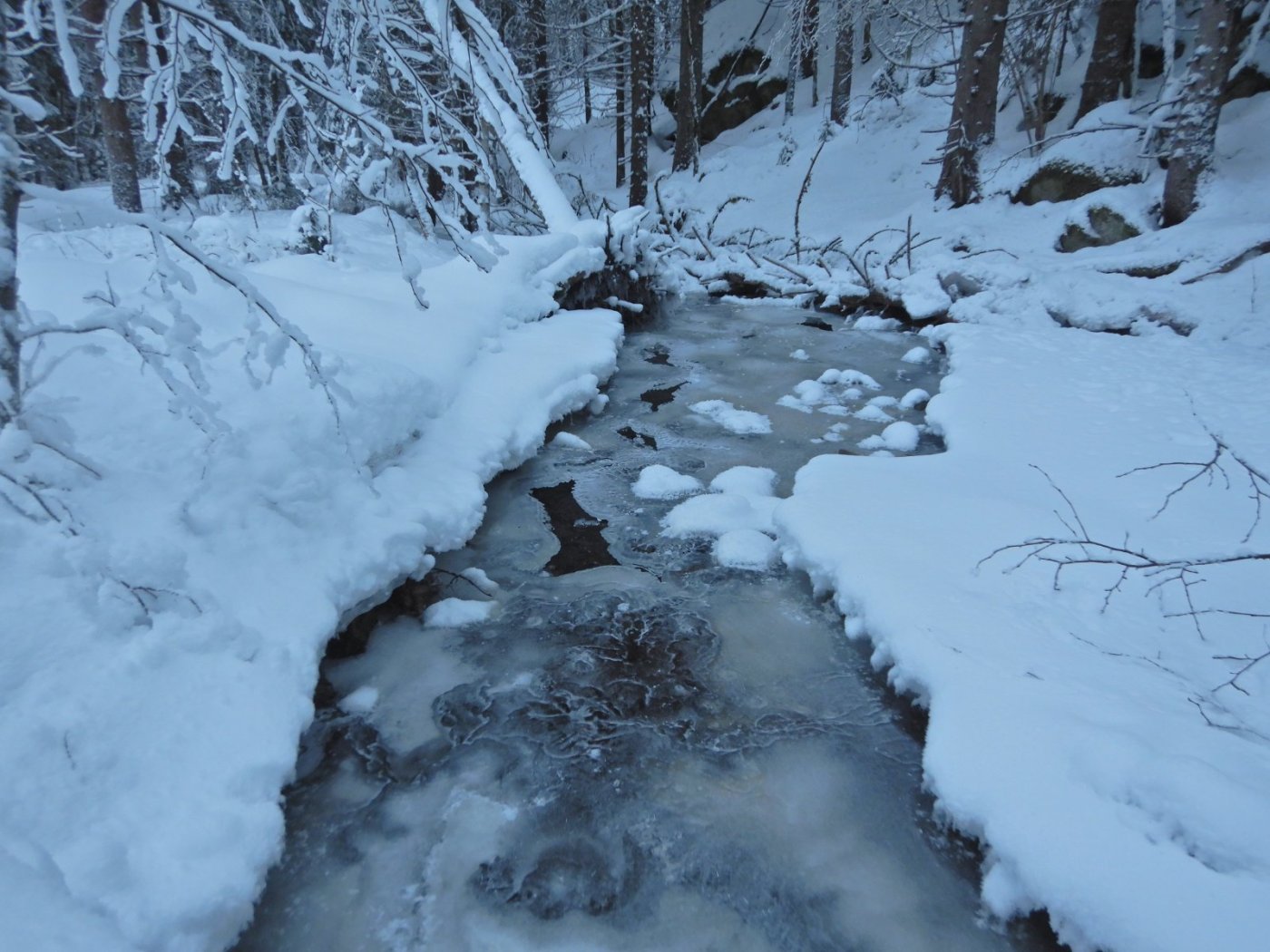 20230123, Trugerunde fra Skansebakken (64).JPG