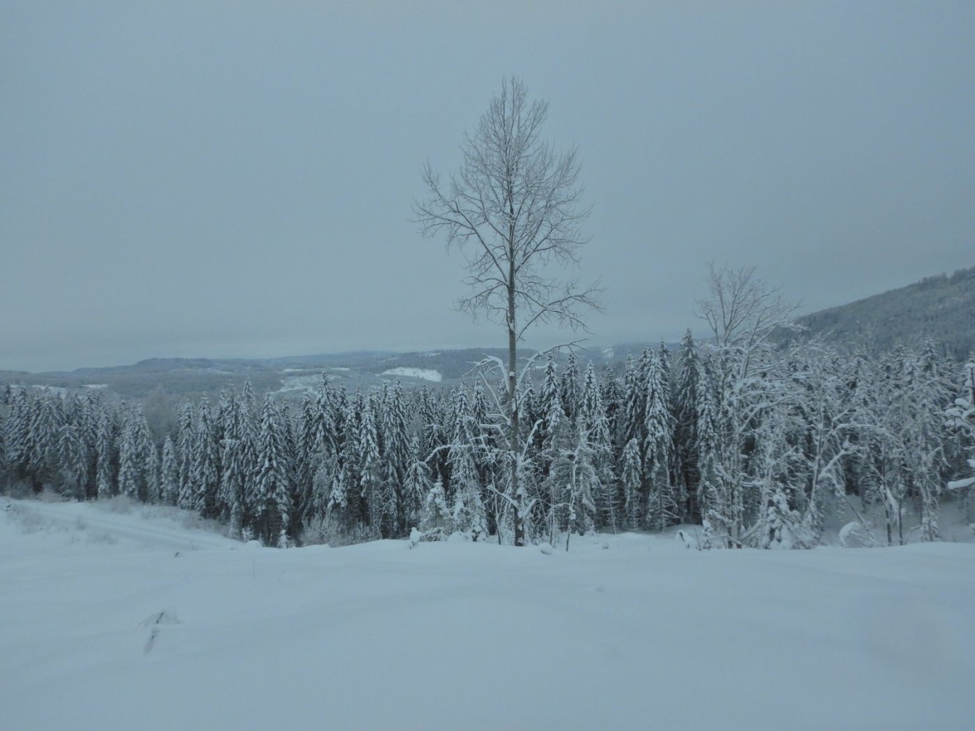 20230123, Trugerunde fra Skansebakken (33).JPG