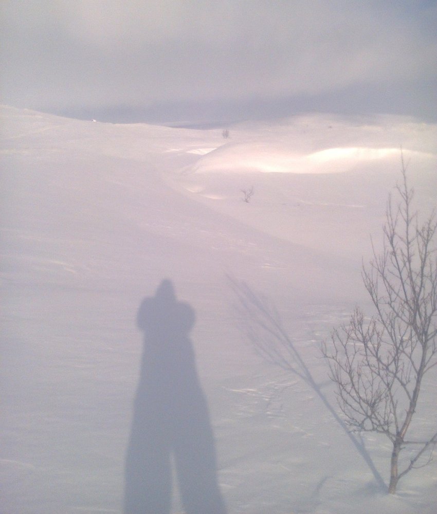 Typisk terreng Hardangervidda.jpg